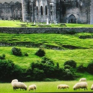 Meet your Posher, Ebony